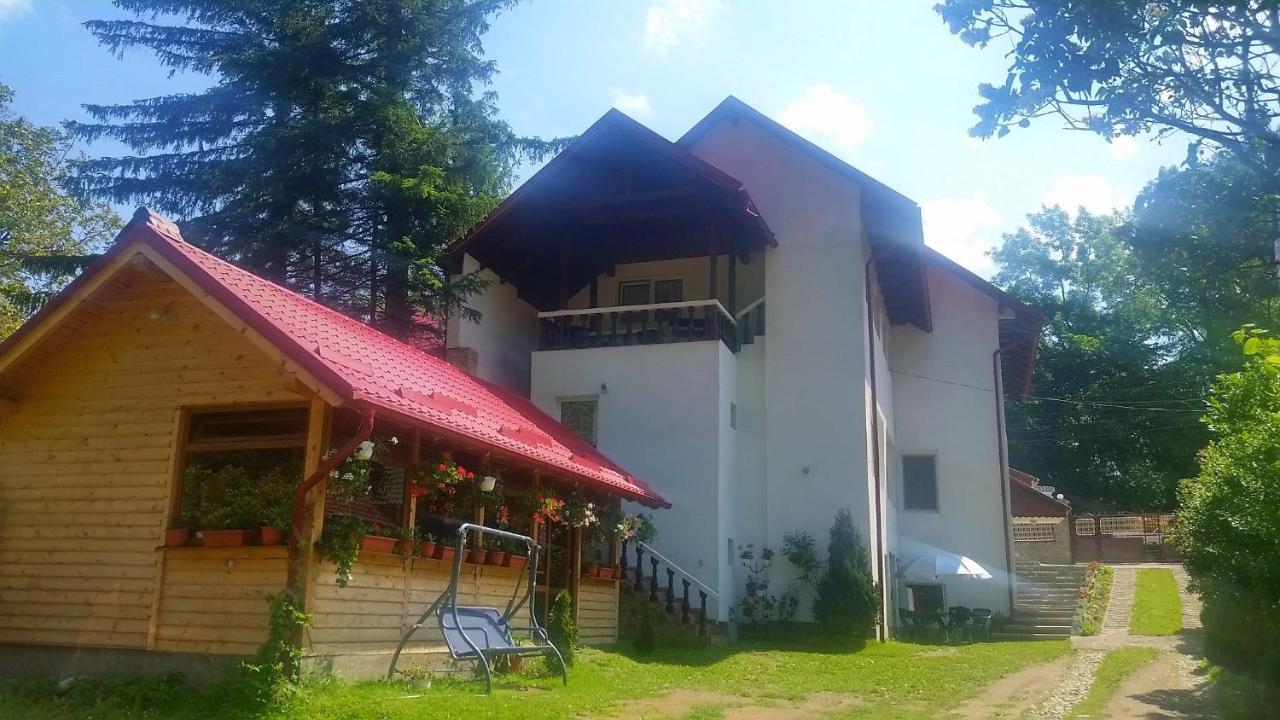 Hotel Casa Krista Bran  Exterior foto