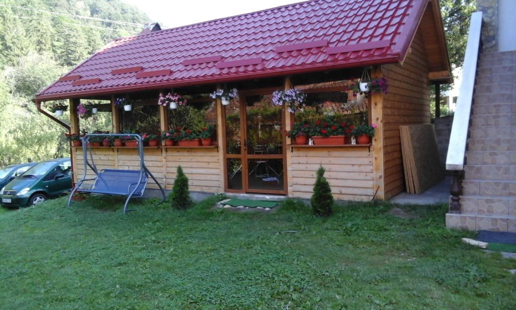 Hotel Casa Krista Bran  Exterior foto
