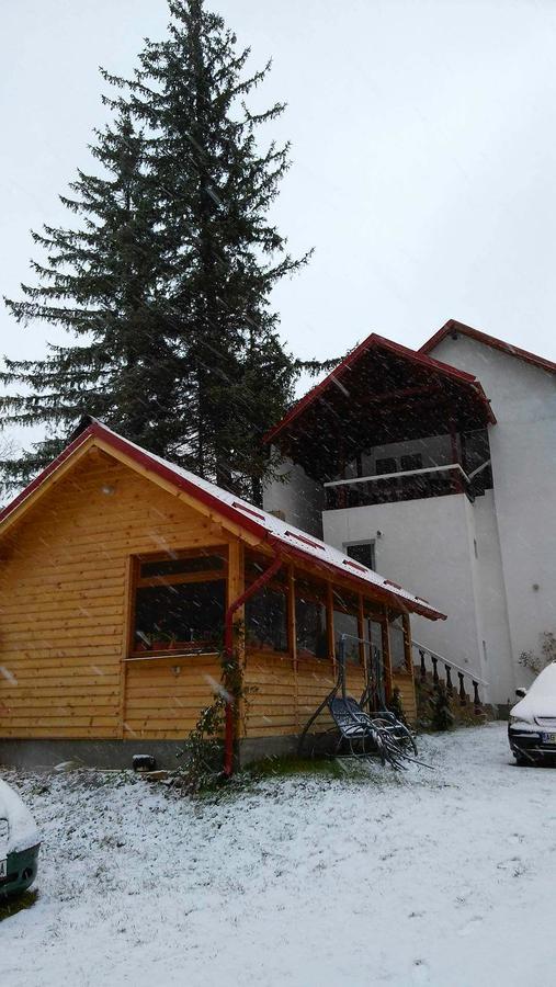 Hotel Casa Krista Bran  Exterior foto